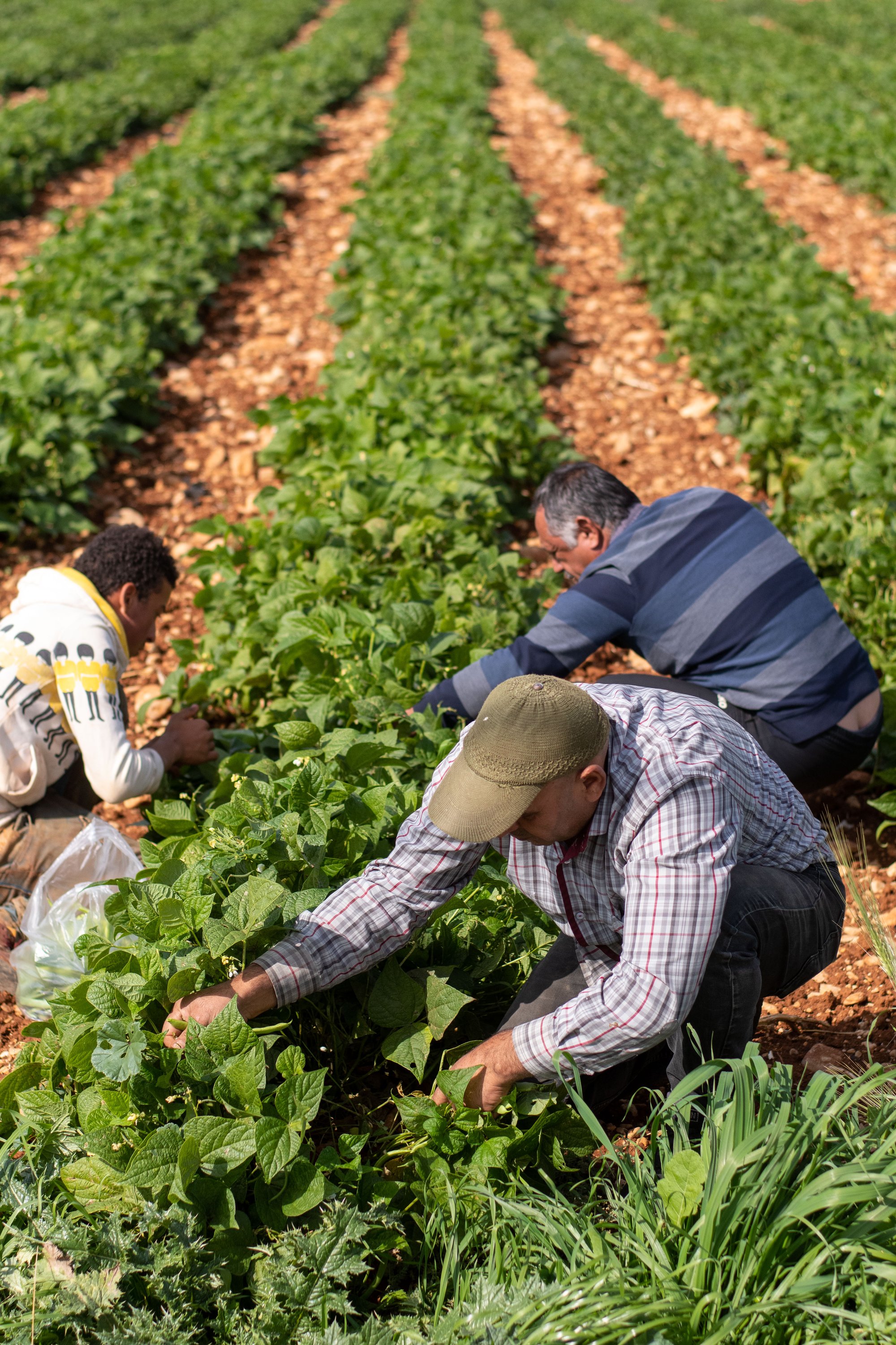 Bridging Research and Practice